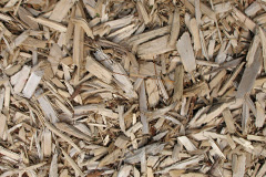 biomass boilers Churchwood